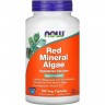 Красные водоросли NOW FOODS RED MINERALALGAE NS1538